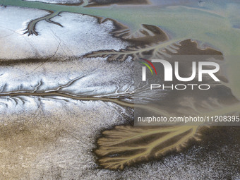 A ''tidal tree'' is snaking like a swimming dragon above the tidal flat at the Yellow Sea wetland in the Dafeng district of Yancheng City, J...