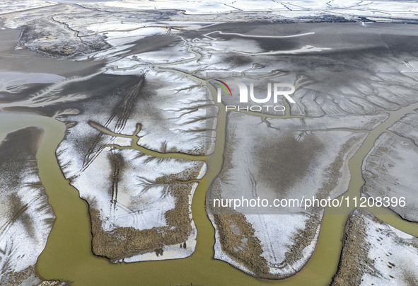 A ''tidal tree'' is snaking like a swimming dragon above the tidal flat at the Yellow Sea wetland in the Dafeng district of Yancheng City, J...