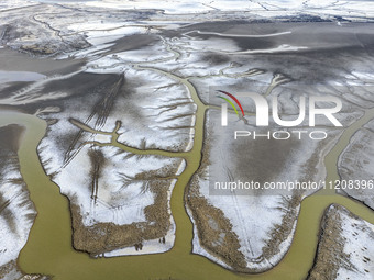 A ''tidal tree'' is snaking like a swimming dragon above the tidal flat at the Yellow Sea wetland in the Dafeng district of Yancheng City, J...