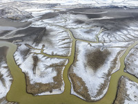 A ''tidal tree'' is snaking like a swimming dragon above the tidal flat at the Yellow Sea wetland in the Dafeng district of Yancheng City, J...