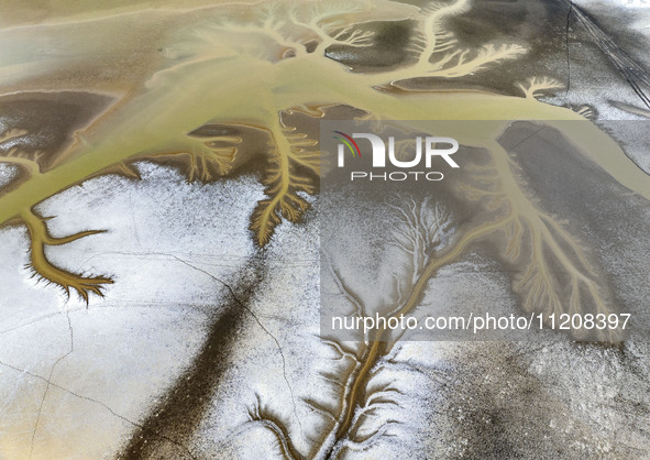 A ''tidal tree'' is snaking like a swimming dragon above the tidal flat at the Yellow Sea wetland in the Dafeng district of Yancheng City, J...