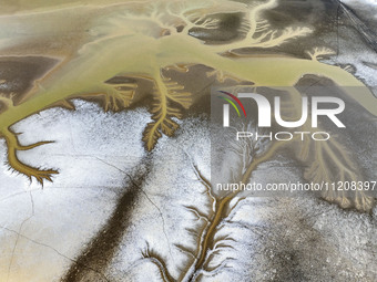 A ''tidal tree'' is snaking like a swimming dragon above the tidal flat at the Yellow Sea wetland in the Dafeng district of Yancheng City, J...