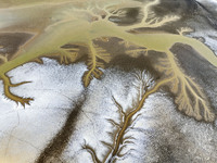 A ''tidal tree'' is snaking like a swimming dragon above the tidal flat at the Yellow Sea wetland in the Dafeng district of Yancheng City, J...