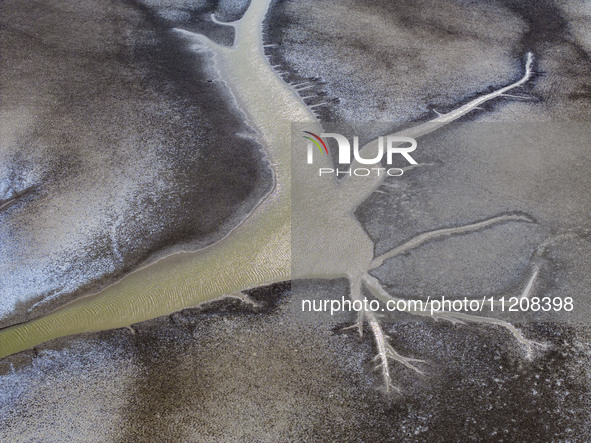 A ''tidal tree'' is snaking like a swimming dragon above the tidal flat at the Yellow Sea wetland in the Dafeng district of Yancheng City, J...