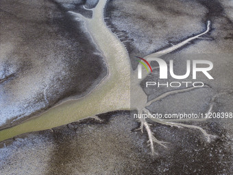 A ''tidal tree'' is snaking like a swimming dragon above the tidal flat at the Yellow Sea wetland in the Dafeng district of Yancheng City, J...