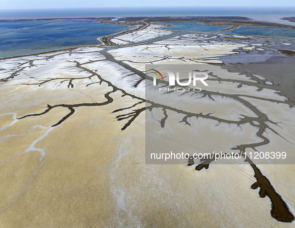 A ''tidal tree'' is snaking like a swimming dragon above the tidal flat at the Yellow Sea wetland in the Dafeng district of Yancheng City, J...