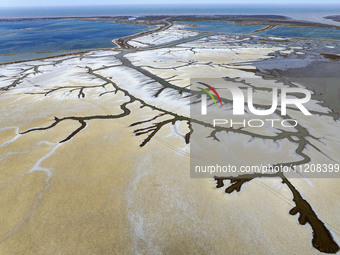 A ''tidal tree'' is snaking like a swimming dragon above the tidal flat at the Yellow Sea wetland in the Dafeng district of Yancheng City, J...