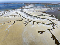 A ''tidal tree'' is snaking like a swimming dragon above the tidal flat at the Yellow Sea wetland in the Dafeng district of Yancheng City, J...