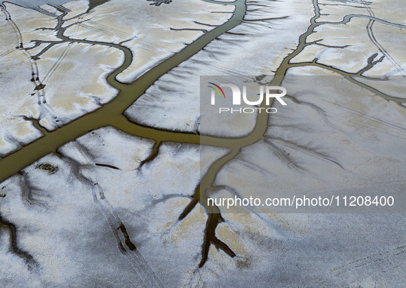 A ''tidal tree'' is snaking like a swimming dragon above the tidal flat at the Yellow Sea wetland in the Dafeng district of Yancheng City, J...