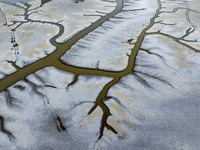 A ''tidal tree'' is snaking like a swimming dragon above the tidal flat at the Yellow Sea wetland in the Dafeng district of Yancheng City, J...