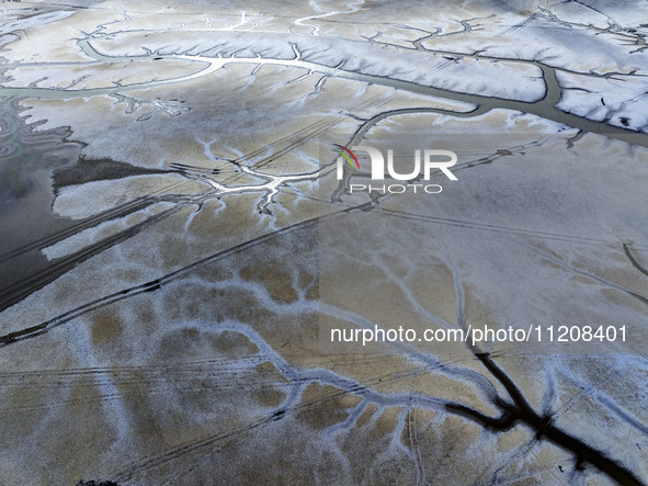 A ''tidal tree'' is snaking like a swimming dragon above the tidal flat at the Yellow Sea wetland in the Dafeng district of Yancheng City, J...