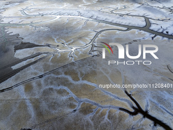 A ''tidal tree'' is snaking like a swimming dragon above the tidal flat at the Yellow Sea wetland in the Dafeng district of Yancheng City, J...