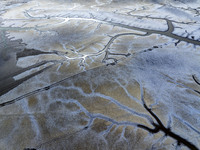 A ''tidal tree'' is snaking like a swimming dragon above the tidal flat at the Yellow Sea wetland in the Dafeng district of Yancheng City, J...