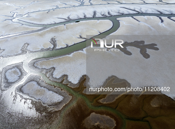 A ''tidal tree'' is snaking like a swimming dragon above the tidal flat at the Yellow Sea wetland in the Dafeng district of Yancheng City, J...