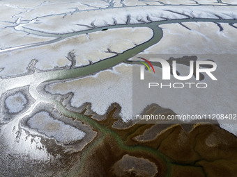 A ''tidal tree'' is snaking like a swimming dragon above the tidal flat at the Yellow Sea wetland in the Dafeng district of Yancheng City, J...