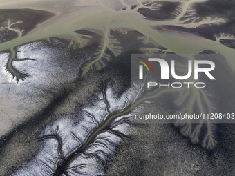 A ''tidal tree'' is snaking like a swimming dragon above the tidal flat at the Yellow Sea wetland in the Dafeng district of Yancheng City, J...