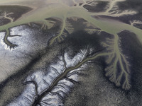 A ''tidal tree'' is snaking like a swimming dragon above the tidal flat at the Yellow Sea wetland in the Dafeng district of Yancheng City, J...