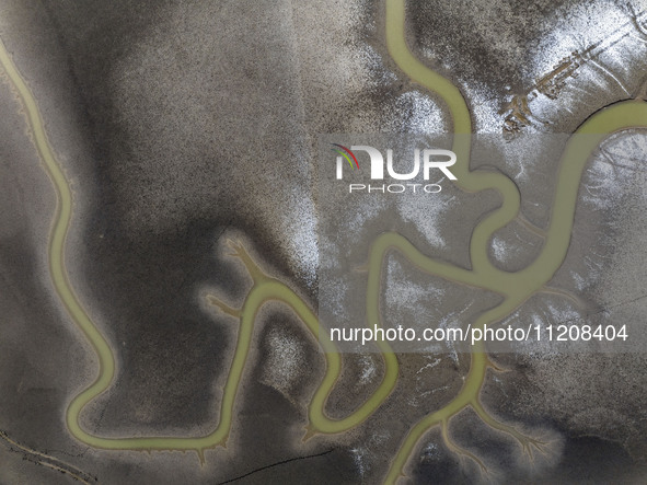 A ''tidal tree'' is snaking like a swimming dragon above the tidal flat at the Yellow Sea wetland in the Dafeng district of Yancheng City, J...