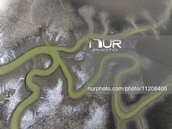 A ''tidal tree'' is snaking like a swimming dragon above the tidal flat at the Yellow Sea wetland in the Dafeng district of Yancheng City, J...