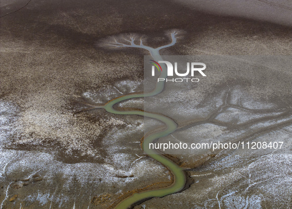 A ''tidal tree'' is snaking like a swimming dragon above the tidal flat at the Yellow Sea wetland in the Dafeng district of Yancheng City, J...