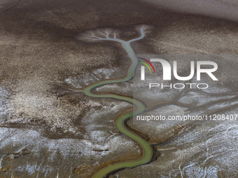 A ''tidal tree'' is snaking like a swimming dragon above the tidal flat at the Yellow Sea wetland in the Dafeng district of Yancheng City, J...