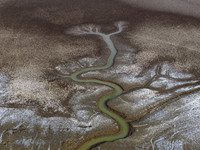 A ''tidal tree'' is snaking like a swimming dragon above the tidal flat at the Yellow Sea wetland in the Dafeng district of Yancheng City, J...