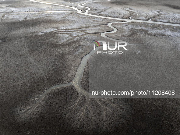 A ''tidal tree'' is snaking like a swimming dragon above the tidal flat at the Yellow Sea wetland in the Dafeng district of Yancheng City, J...