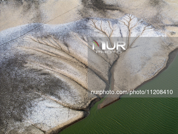 A ''tidal tree'' is snaking like a swimming dragon above the tidal flat at the Yellow Sea wetland in the Dafeng district of Yancheng City, J...