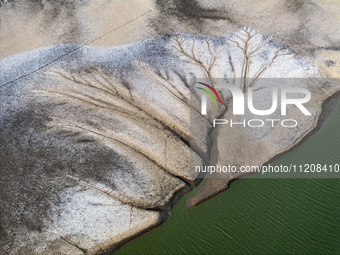 A ''tidal tree'' is snaking like a swimming dragon above the tidal flat at the Yellow Sea wetland in the Dafeng district of Yancheng City, J...