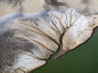 A ''tidal tree'' is snaking like a swimming dragon above the tidal flat at the Yellow Sea wetland in the Dafeng district of Yancheng City, J...