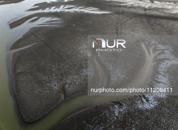 A ''tidal tree'' is snaking like a swimming dragon above the tidal flat at the Yellow Sea wetland in the Dafeng district of Yancheng City, J...