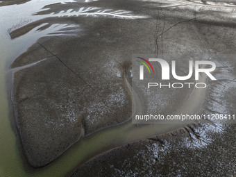 A ''tidal tree'' is snaking like a swimming dragon above the tidal flat at the Yellow Sea wetland in the Dafeng district of Yancheng City, J...