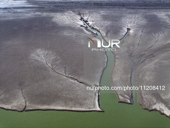 A ''tidal tree'' is snaking like a swimming dragon above the tidal flat at the Yellow Sea wetland in the Dafeng district of Yancheng City, J...