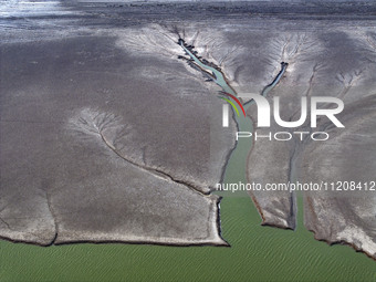 A ''tidal tree'' is snaking like a swimming dragon above the tidal flat at the Yellow Sea wetland in the Dafeng district of Yancheng City, J...