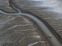 A ''tidal tree'' is snaking like a swimming dragon above the tidal flat at the Yellow Sea wetland in the Dafeng district of Yancheng City, J...