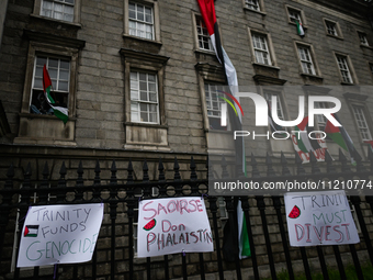 DUBLIN, IRELAND - MAY 4:
Trinity College Dublin windows occupied by students in Keffiyeh and face masks, waving Palestinian flags, on May 4,...