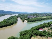 The ''clear-turbid'' natural landscape is appearing in the urban section of Rongan County along the Rongjiang River in the upper reaches of...