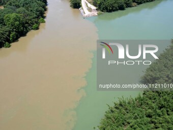 The ''clear-turbid'' natural landscape is appearing in the urban section of Rongan County along the Rongjiang River in the upper reaches of...