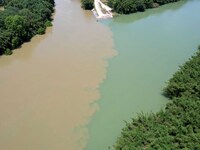 The ''clear-turbid'' natural landscape is appearing in the urban section of Rongan County along the Rongjiang River in the upper reaches of...