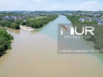 The ''clear-turbid'' natural landscape is appearing in the urban section of Rongan County along the Rongjiang River in the upper reaches of...