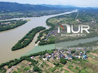 The ''clear-turbid'' natural landscape is appearing in the urban section of Rongan County along the Rongjiang River in the upper reaches of...