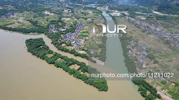 The ''clear-turbid'' natural landscape is appearing in the urban section of Rongan County along the Rongjiang River in the upper reaches of...