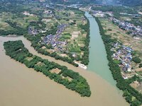 The ''clear-turbid'' natural landscape is appearing in the urban section of Rongan County along the Rongjiang River in the upper reaches of...