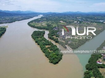 The ''clear-turbid'' natural landscape is appearing in the urban section of Rongan County along the Rongjiang River in the upper reaches of...