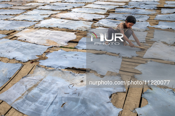 Bablu, who is 8 years old, is working at a tannery to earn one dollar a day in a low-income area in Dhaka, Bangladesh, on May 8, 2024. Altho...