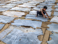 Bablu, who is 8 years old, is working at a tannery to earn one dollar a day in a low-income area in Dhaka, Bangladesh, on May 8, 2024. Altho...