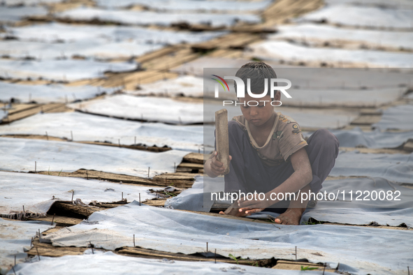 Bablu, who is 8 years old, is working at a tannery to earn one dollar a day in a low-income area in Dhaka, Bangladesh, on May 8, 2024. Altho...