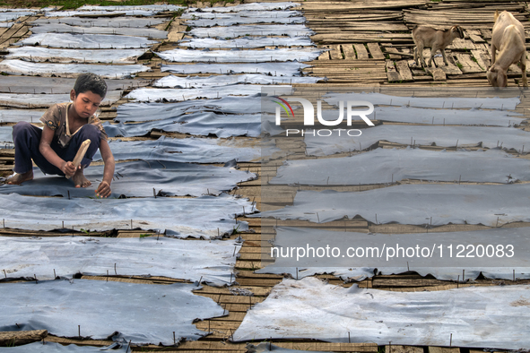 Bablu, who is 8 years old, is working at a tannery to earn one dollar a day in a low-income area in Dhaka, Bangladesh, on May 8, 2024. Altho...