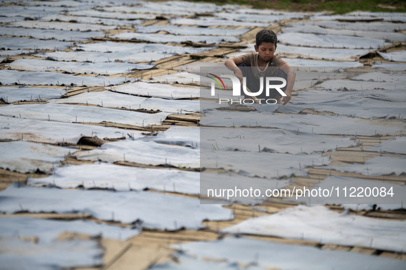 Bablu, who is 8 years old, is working at a tannery to earn one dollar a day in a low-income area in Dhaka, Bangladesh, on May 8, 2024. Altho...