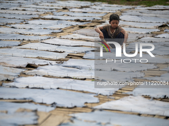 Bablu, who is 8 years old, is working at a tannery to earn one dollar a day in a low-income area in Dhaka, Bangladesh, on May 8, 2024. Altho...